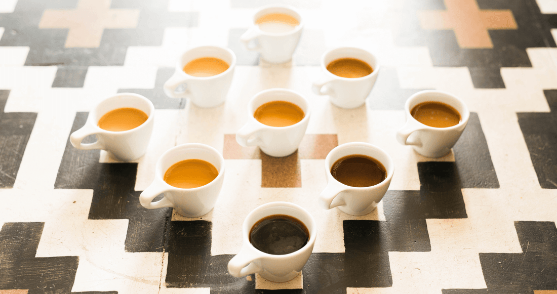 What is Specialty Coffee?